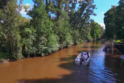 Tigre: Safari Náutico en Tigre/ Rejs wycieczkowy po rezerwacie biosfery