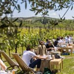 Tour dei vigneti e Visita in Cantina con Degustazione di vini della Romagna