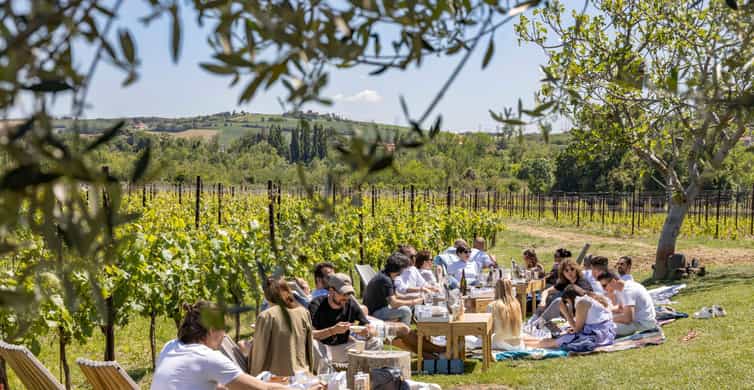 Vineyard Tour and Winery Visit with Tasting of Wines of Romagna