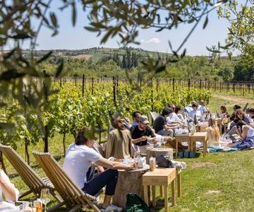 Vineyard Tour and Winery Visit with Tasting of Wines of Romagna