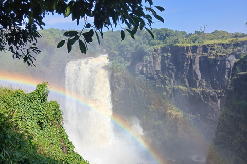 Victoria falls: full day transfer + private guided tour