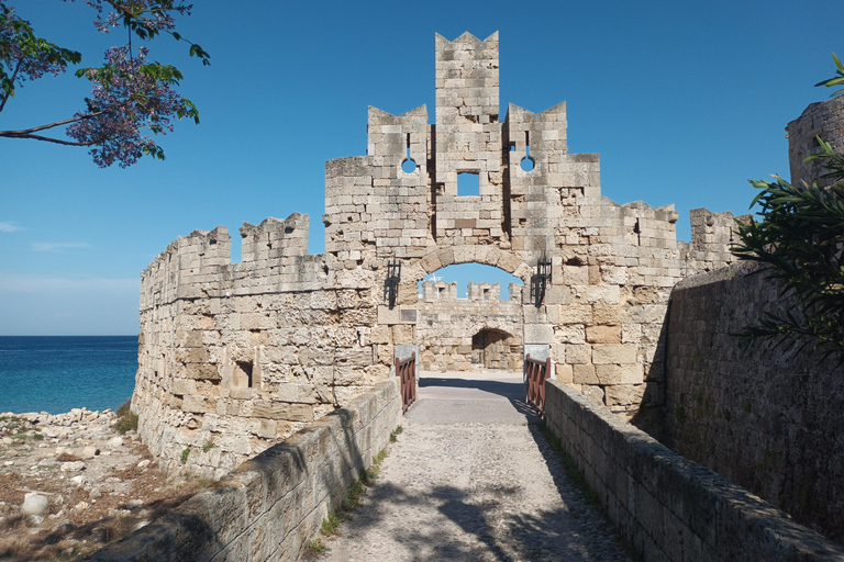 Rhodes: Old and New Town Guided Walking Tour