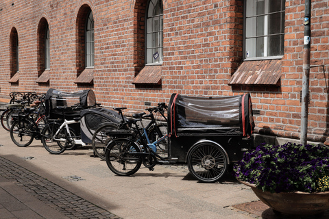Copenhagen to LEGOLAND® Billund Private Transfer