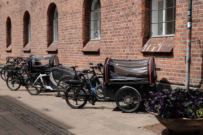Copenhagen to LEGOLAND® Billund Private Transfer