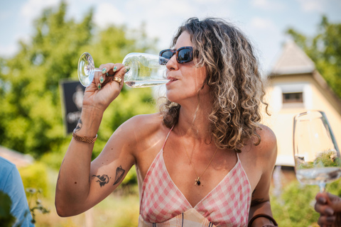 Budapest: Half-Day Wine Tour and Meal in Local Wine Village