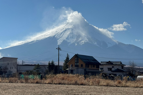 Depuis Tokyo : Excursion privée d&#039;une journée au Mont Fuji et à Hakone