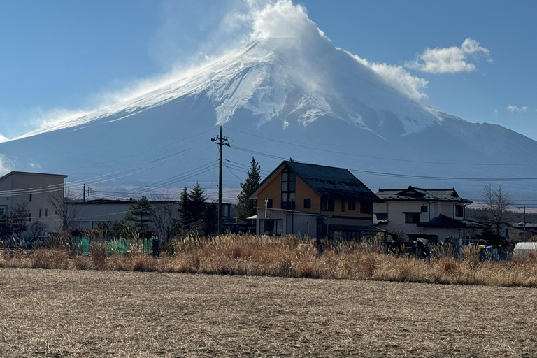 Depuis Tokyo : Excursion privée d&#039;une journée au Mont Fuji et à Hakone