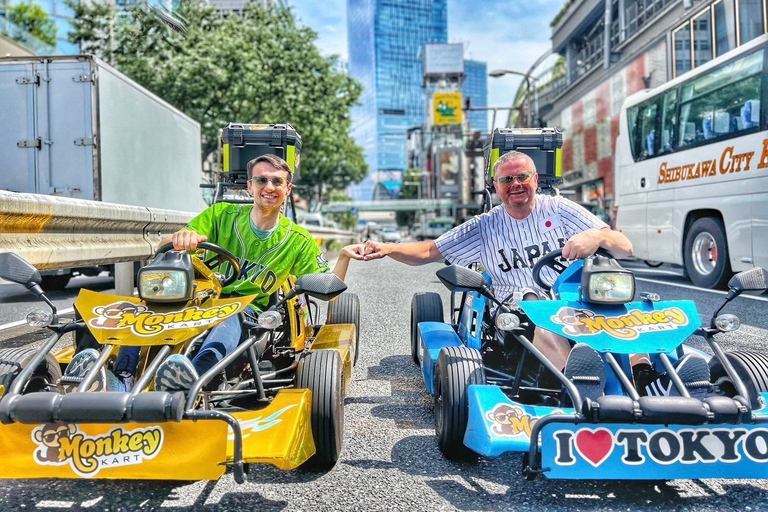 Osaka Gokart Adventure - Costumes, Photos & City Sights!