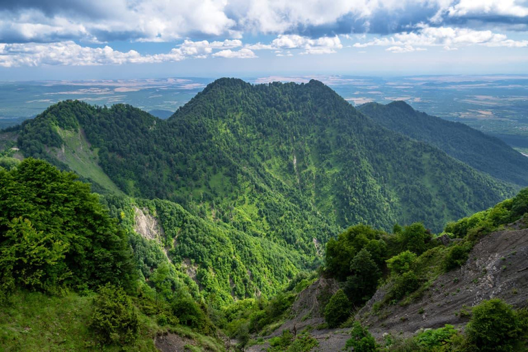 From Baku: Day Tour with Gabala Tufandag and Alpaca Farm Private Gabala–Tufandag Alpaca Farm Tour (Up to 7 Guests)