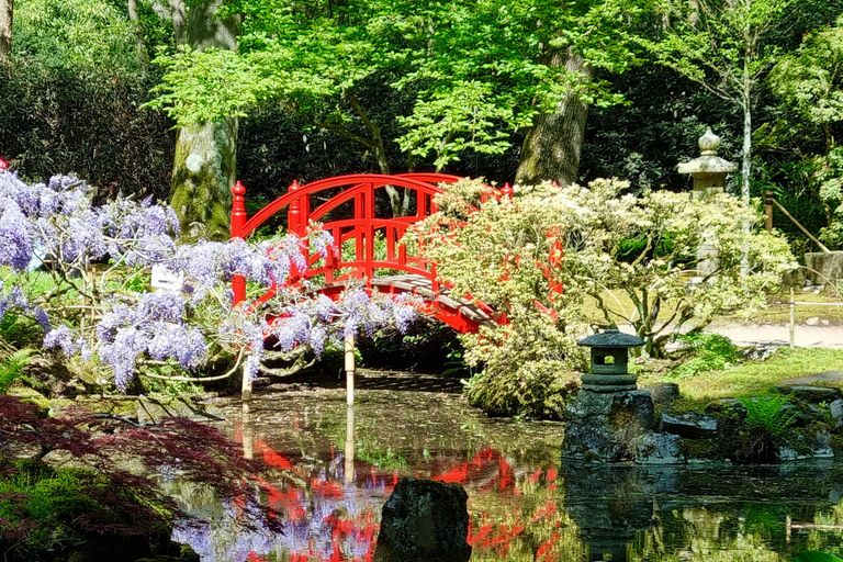 Clingendael: Japanse tuin