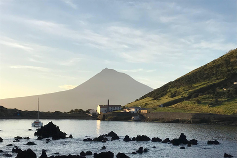 Faial Island: Guided Car Tour Half Day Shared Car Tour