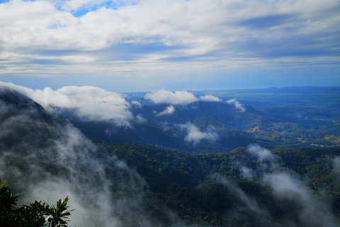 Gold Coast: Springbrook Waterfalls Private Tour