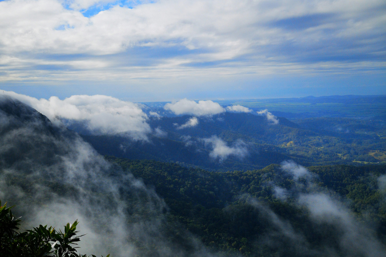 Gold Coast: Springbrook Waterfalls Private Tour