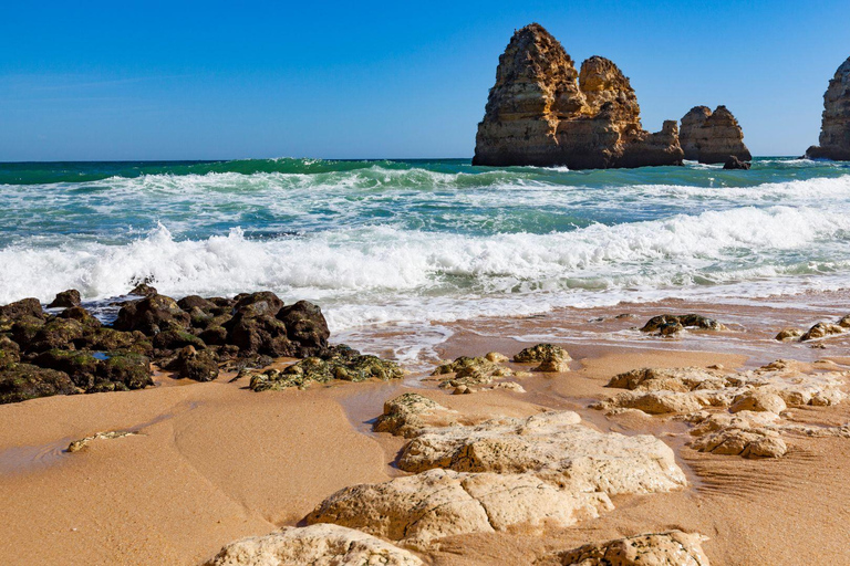 Best of Faro: Private Walking Tour with a Local Private City Walking Tour - 3Hr