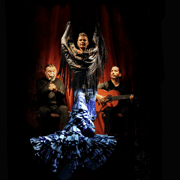 Barcellona: Flamenco Premium Show e Tour Guitar Museum