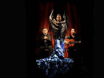 Barcelona: Flamenco Premium Show und Tour Gitarrenmuseum