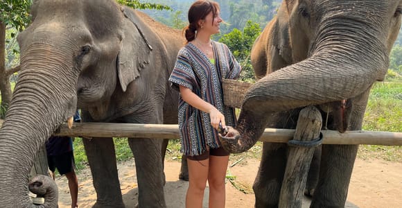 Chiang Mai: Ethical Elephant Experience with Waterfall Visit