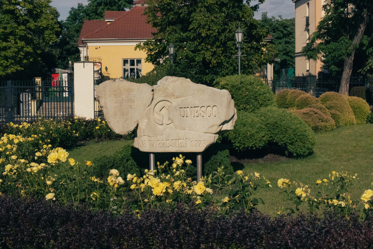 From Krakow: Wieliczka Salt Mine Guided Tour Italian Guided Tour Fast Track ticket