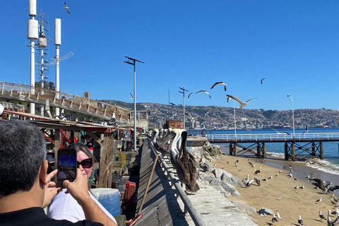 Casablanca: Private Wine Tour at Estancia El Cuadro, Valparaíso, Viña del Mar