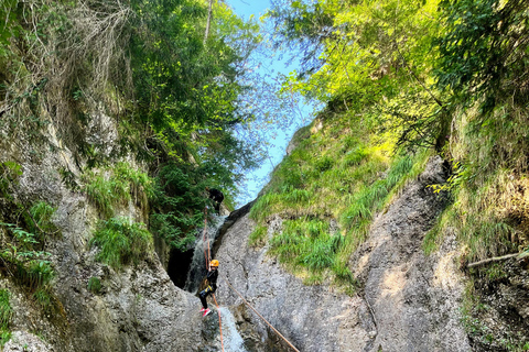 Bad Ischl: Canyoning Adventure for Beginners and Families