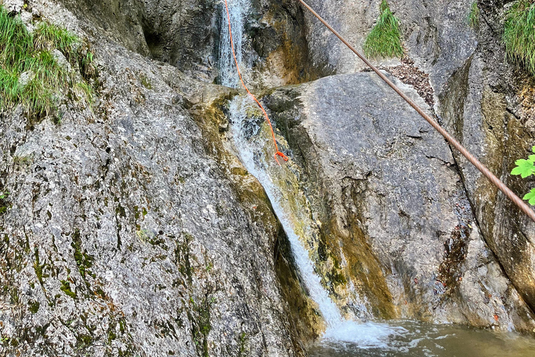 Bad Ischl: Canyoning Adventure for Beginners and Families