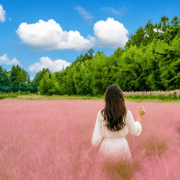Jeju: 3-Day UNESCO South, East & West Highlights Bus Tour