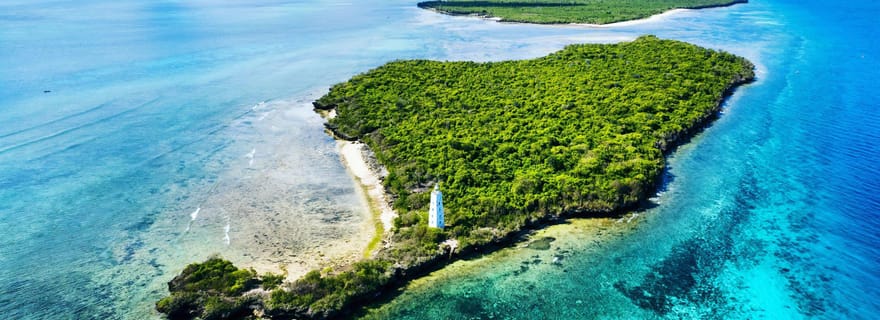 Plongée en apnée sur les dauphins et l'île de Tumbatu
