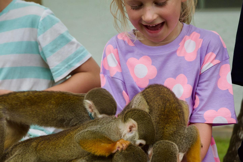 Vlindertuin Plus Apen en sigaren Puerto Plata-tourVlindertuin Plus Apen en sigaren in Puerto Plata