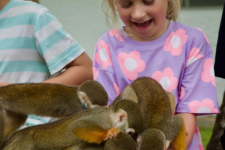 Vlindertuin Plus Apen en sigaren Puerto Plata-tourVlindertuin Plus Apen en sigaren in Puerto Plata