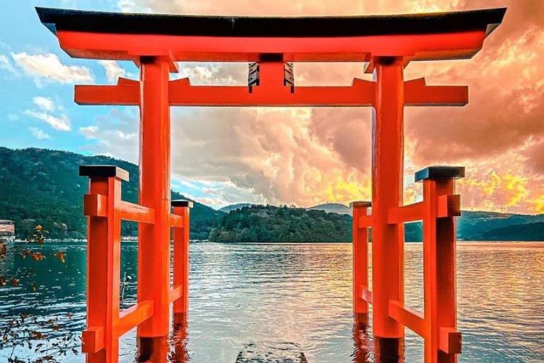 Tokyo: Privat dagsutflykt till Fuji-berget och Hakone med guide