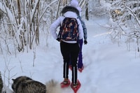Desde Tallinn, excursión guiada de senderismo Bog-Shoe - Hizvo