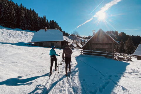 Slovenia: Nordic Backcountry Skiing Adventure Pokljuka: Zajavornik Alpine Meadow