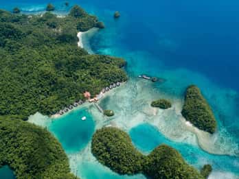 Sohoton Cove: Swim with Jellyfish & Explore Hidden Lagoons