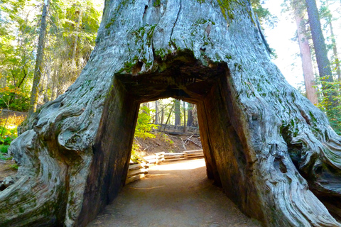 Las Vegas : Voyage de 11 jours dans les parcs nationaux du sud-ouest des États-Unis pour SFVisite en petit groupe avec camping max. 14 personnes