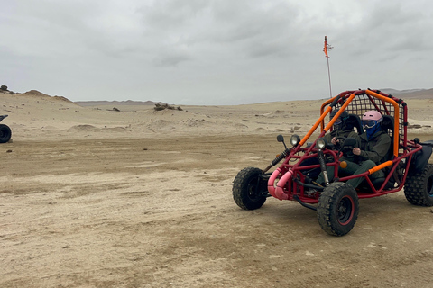 Paracas: Ballestas Islands Boat Tour & Mini Buggy Ride