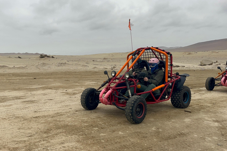 Paracas: Ballestas Islands Boat Tour & Mini Buggy Ride