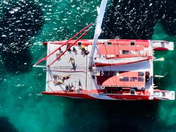 Marsella : Crucero en Catamarán por las Calanques con Comida y Vino