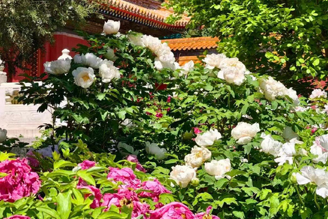 Beijing: Jingshan Park Ticket, Insider & Photo Guide