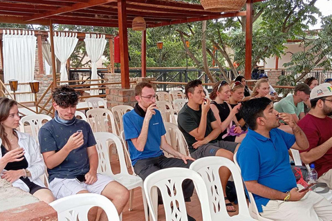 Depuis Lima : 2 jours Paracas Ica Huacachina et vignobles