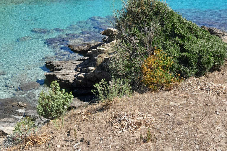 Agriate Marine Park and its beaches: tour with Captain François