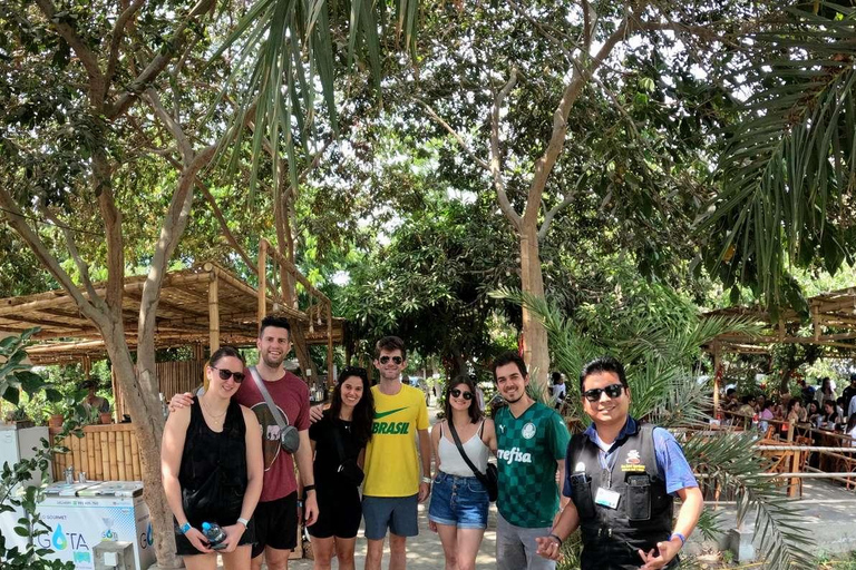 Experiencia de vino, pisco y buggy