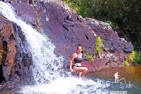 Mauricio: Excursión de 4 horas a las cataratas del Tamarindo (7 Cascadas)