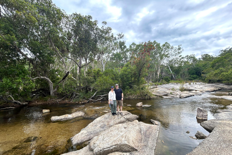 Cairns: Half-Day Premium 4WD Rainforest & Waterfall Tour Half Day Tour