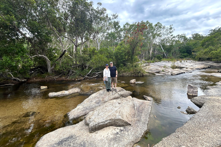 Cairns: Half-Day Premium 4WD Rainforest & Waterfall Tour Half Day Tour