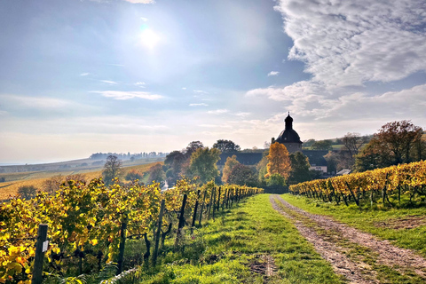 Mainz: Rhine Valley Wine Tasting & Inc Wine Tapas Picnic