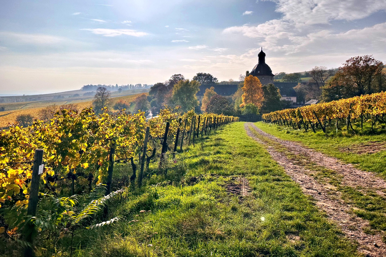 Mainz: Rhine Valley Wine Tasting & Inc Wine Tapas Picnic