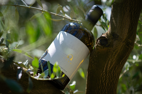 Mostar: Olive Oil Tasting with Local Bites & Heritage Tour