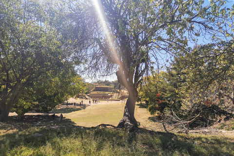 Full Day Guided Tour on the Monte Alban RouteTickets and food included