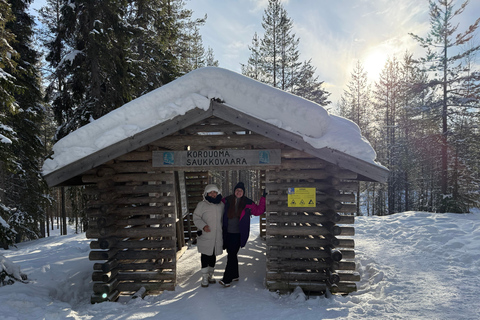 Rovaniemi: Canyon Winter Hike with Frozen Water Falls