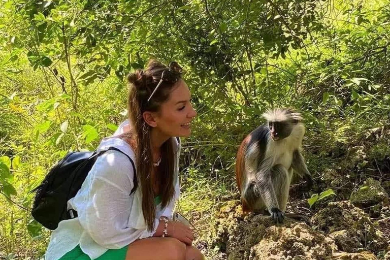 Zanzibar: Jozani & Salaam Monkeys, Mangroves & Secret Beach